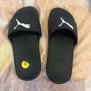 Puma slides